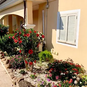 Apartment Casa Dolce Hibiscus, Olbia